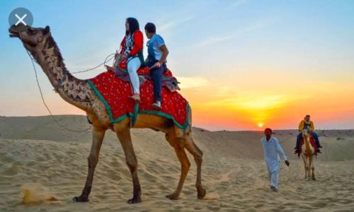 Camel Safari Jaisalmer